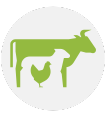 livestock image